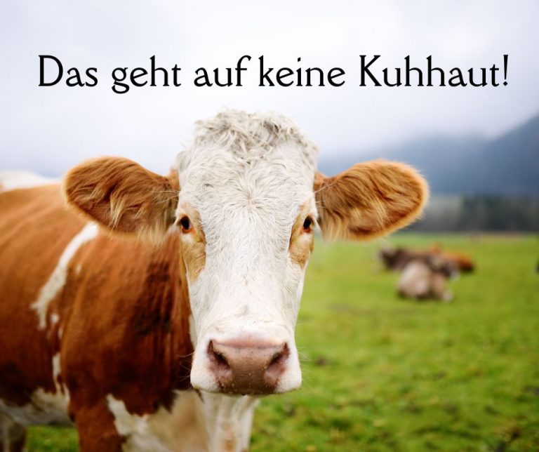 Das geht auf keine Kuhhaut